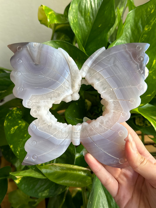 Large Purple Druzy Butterfly