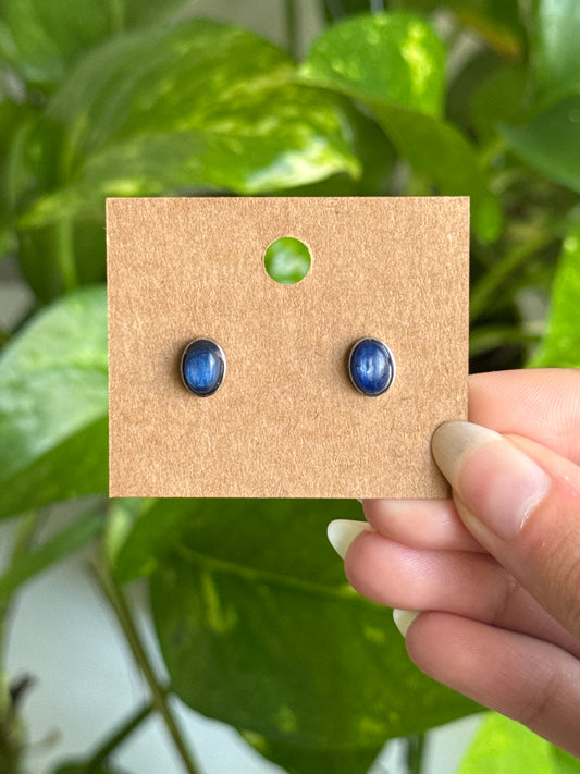 Kyanite earrings