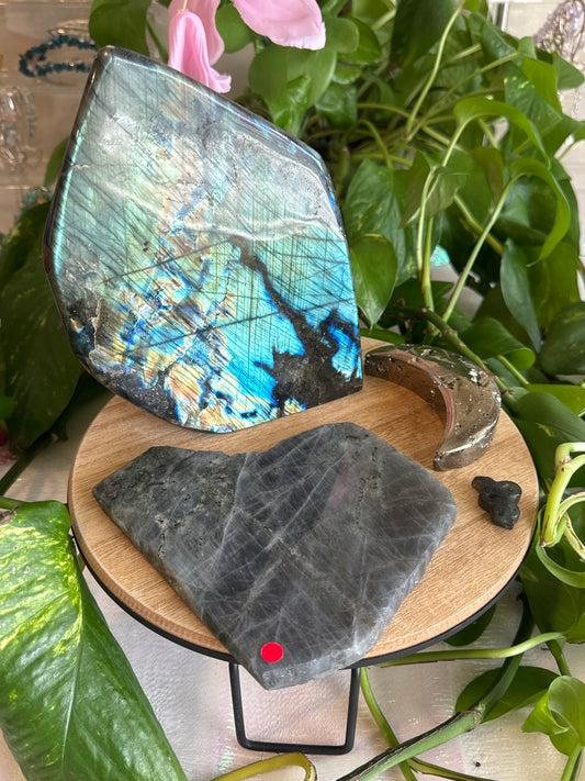 martinezmaria11123 listing