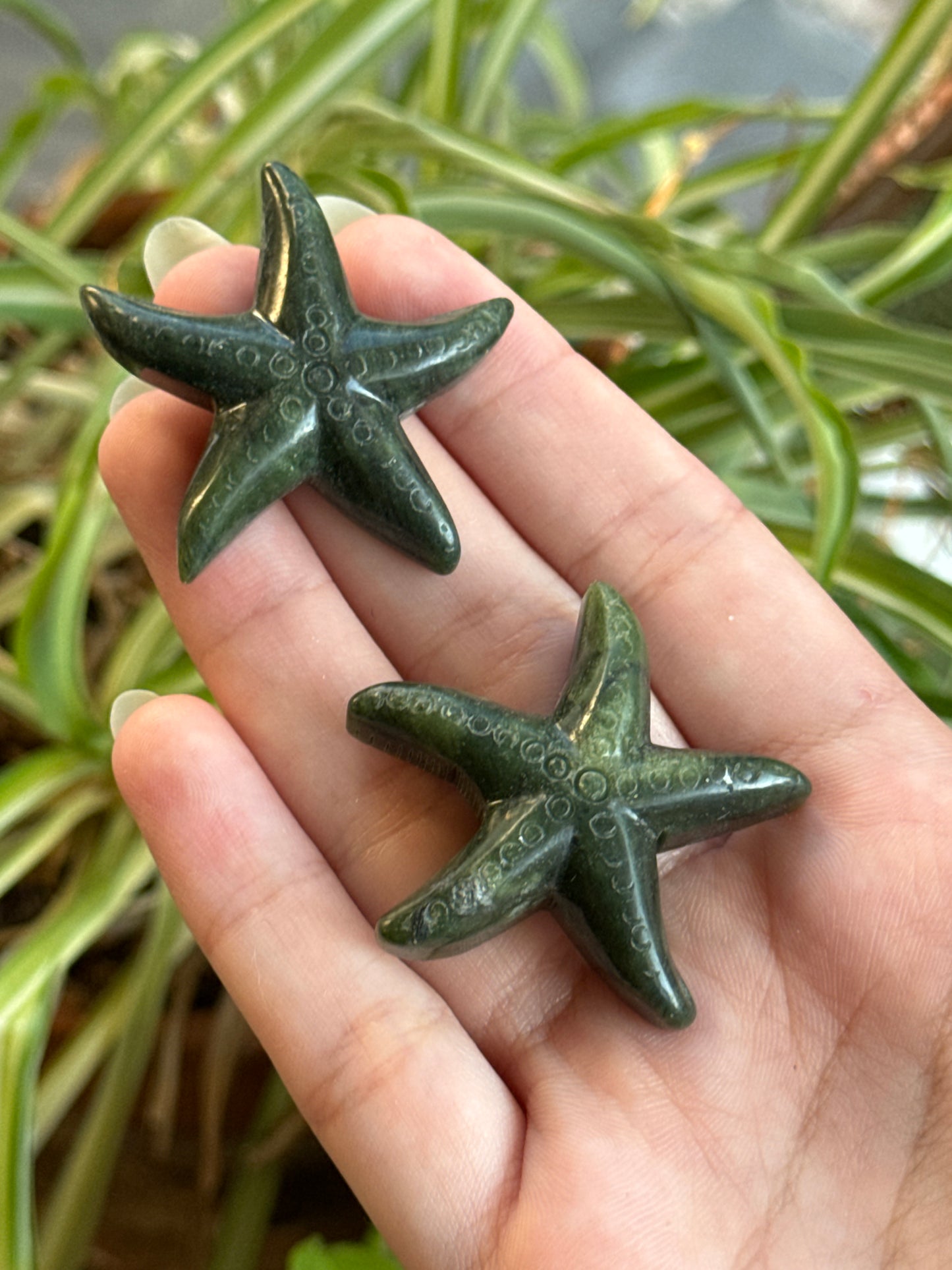 Starfish Carvings | You Pick Material