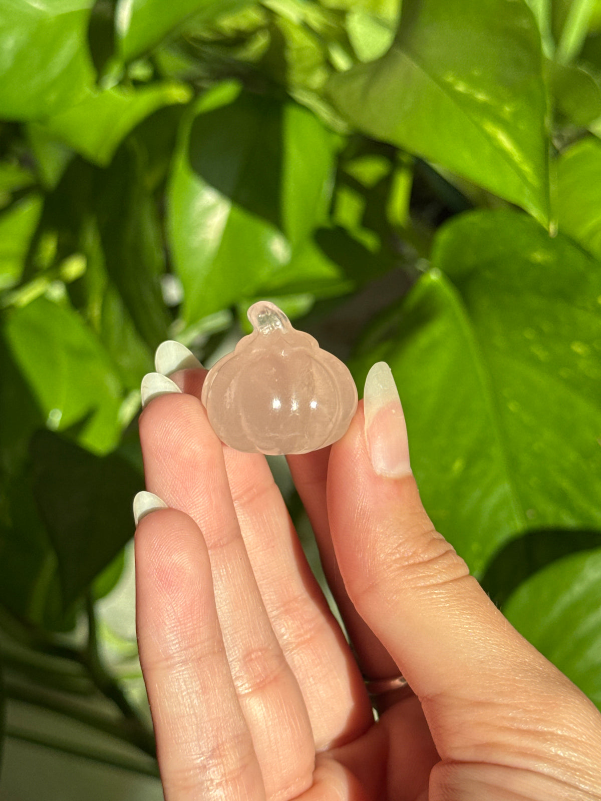 Gemmy Rose Quartz Pumpkin (with asterism)