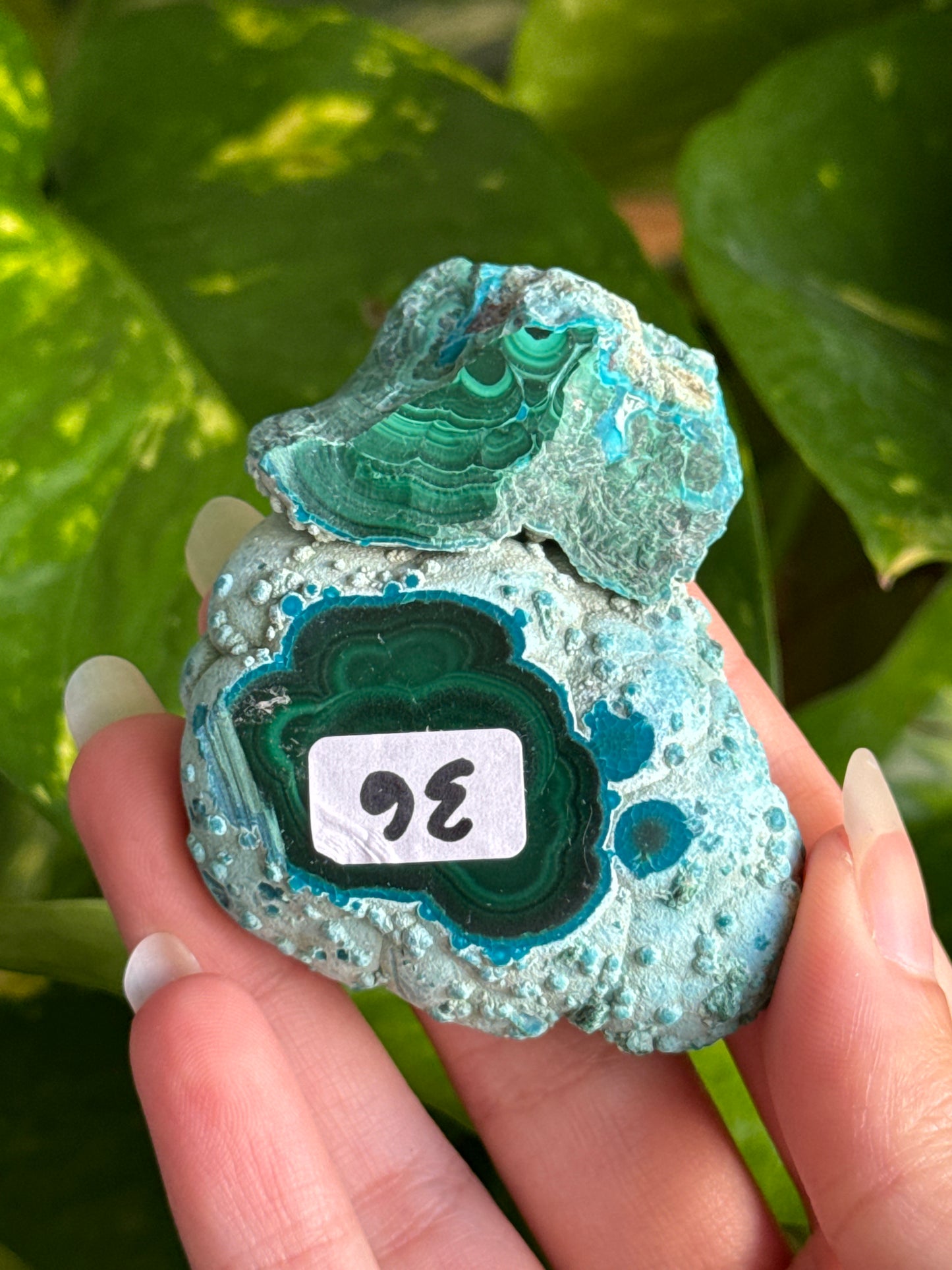 Malachite & Chrysocolla Slab C