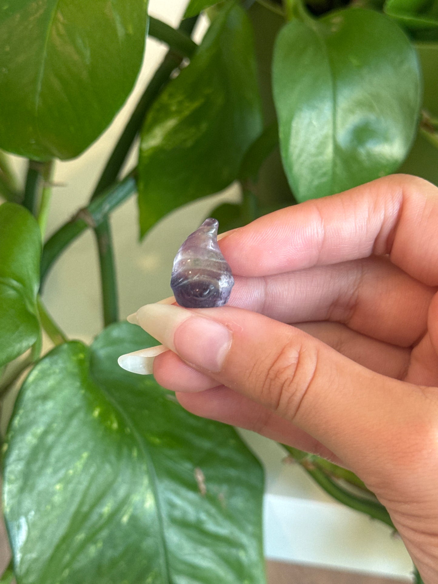 Fluorite Gnome