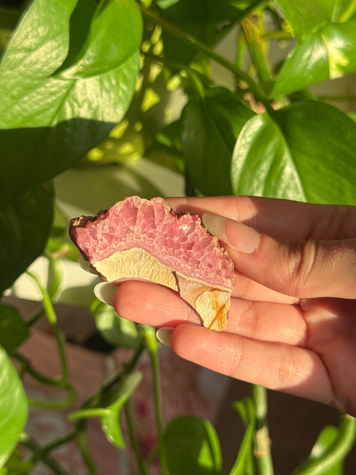 Rhodochrosite Moon Shaped Specimen
