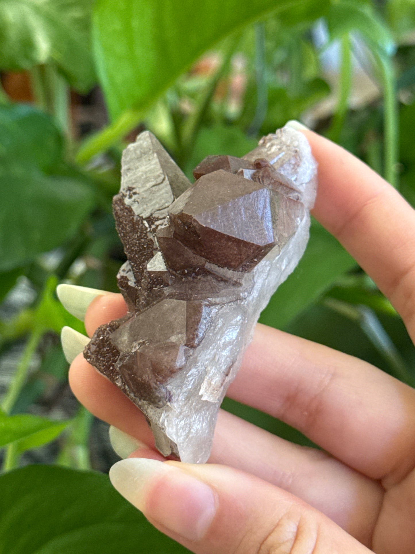 Sparkly Hematite Coated Quartz Specimen A