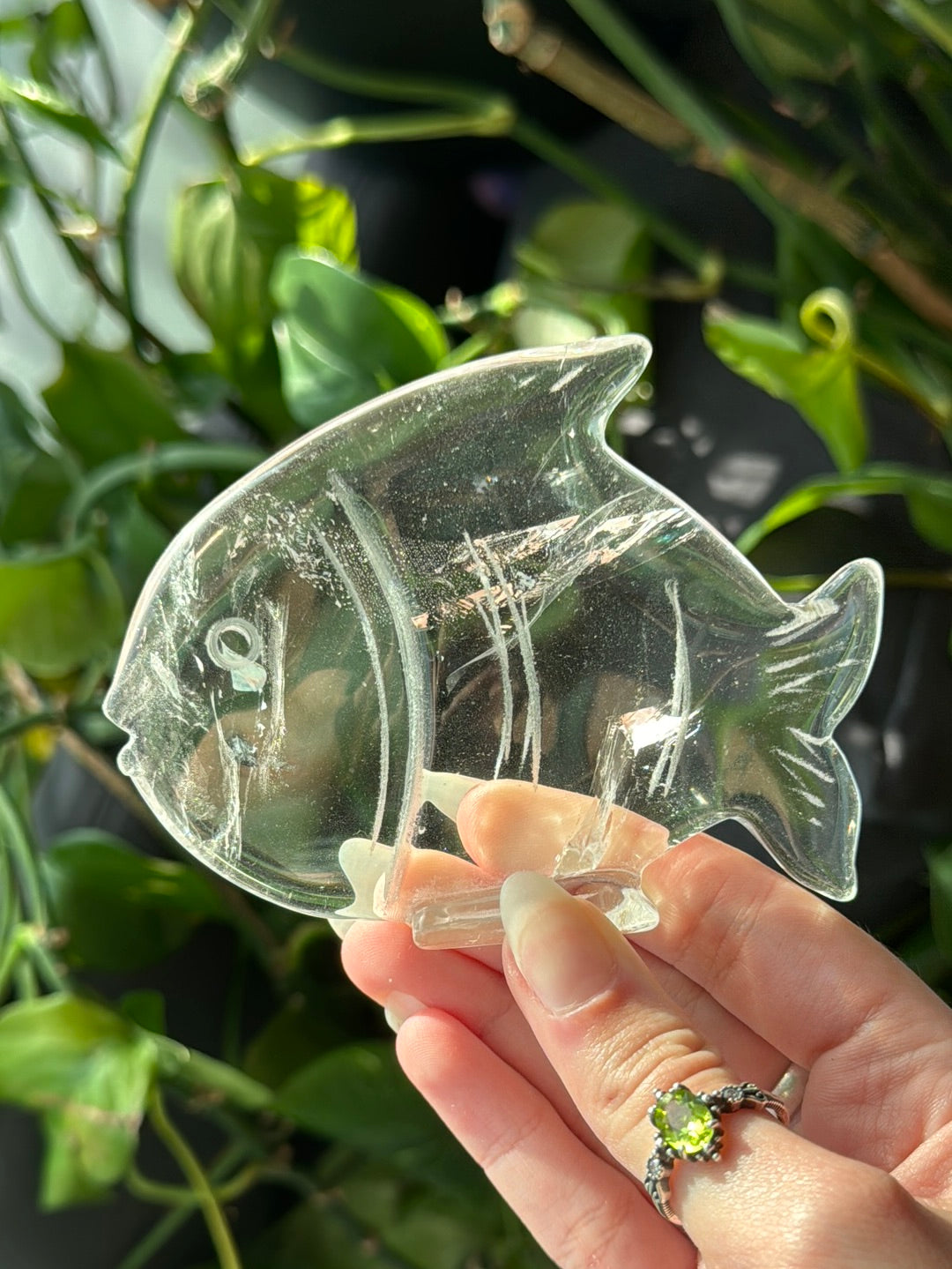 High Grade Brazilian Clear Quartz Fish-Self Standing