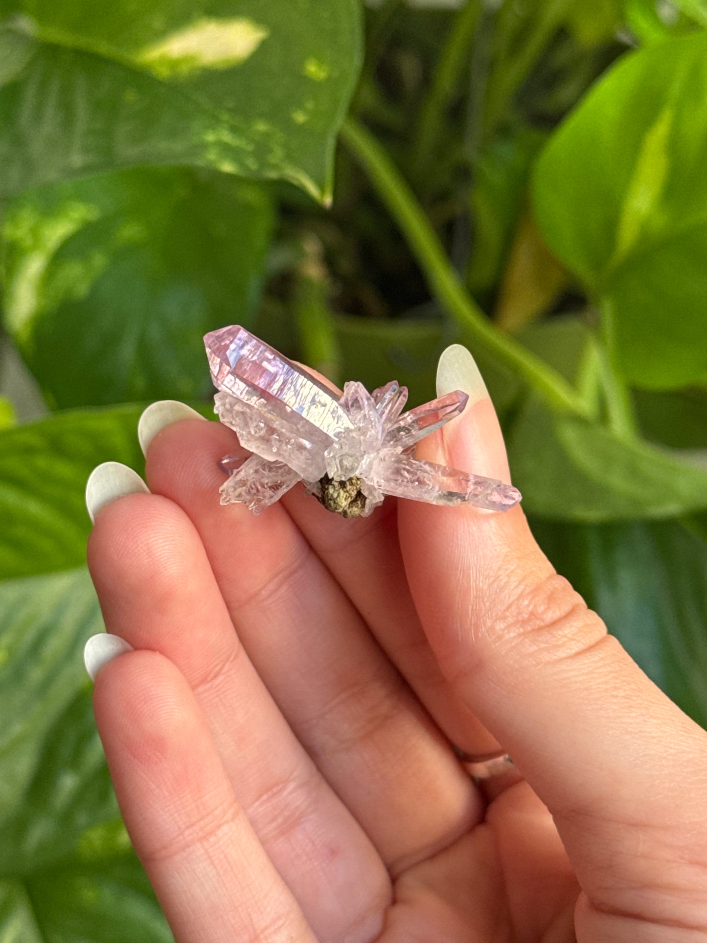 Vera Cruz Amethyst Specimen