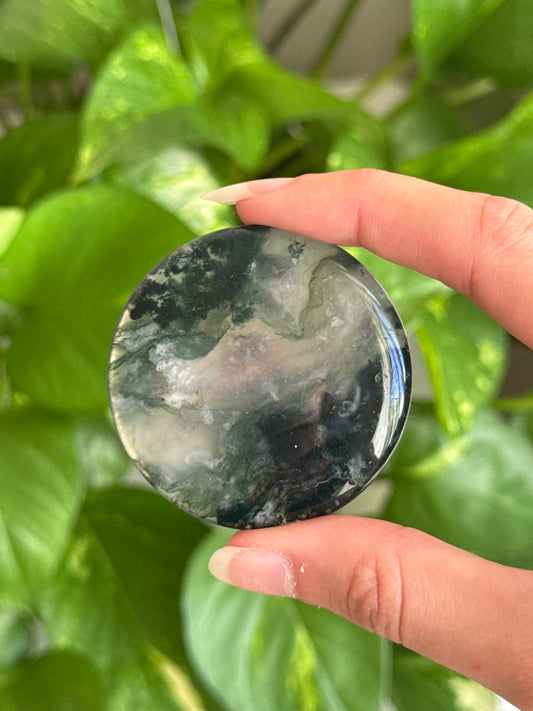 Clear Moss Agate Disk Batch A