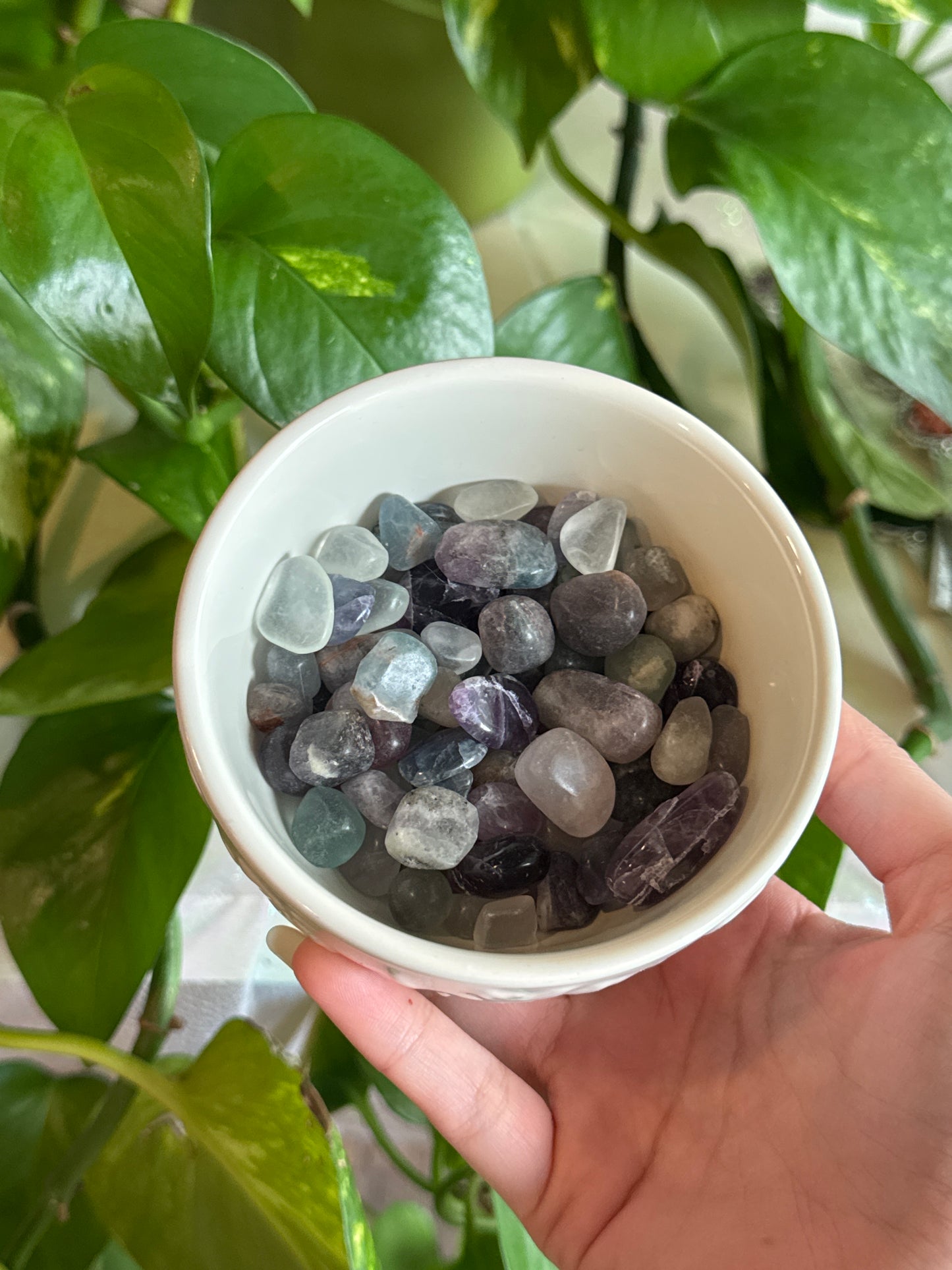 Mini Fluorite Tumbles