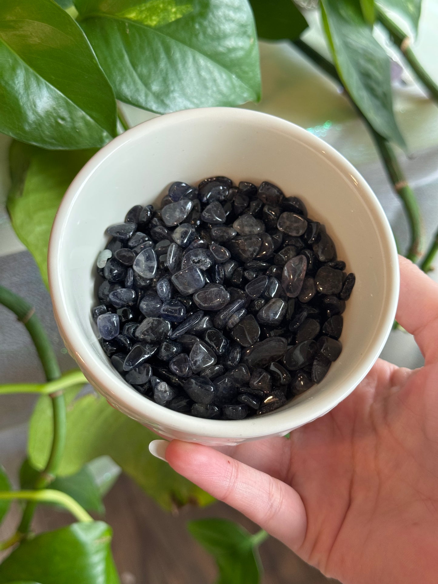 Iolite Chips