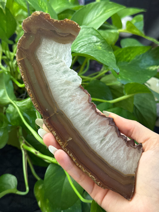 Agate & Quartz Slice