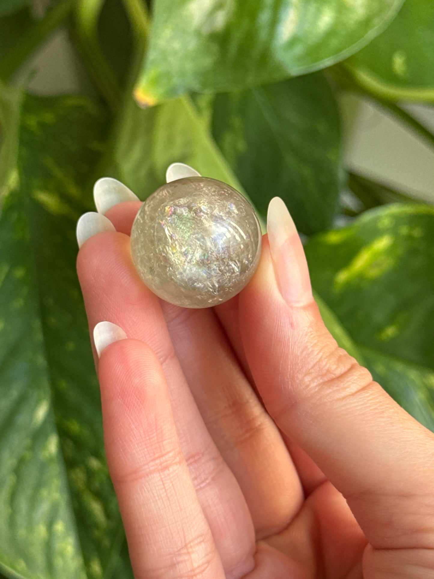 Prasiolite Rainbow Sphere | You Pick