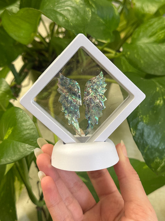 Abalone Shell Wings A