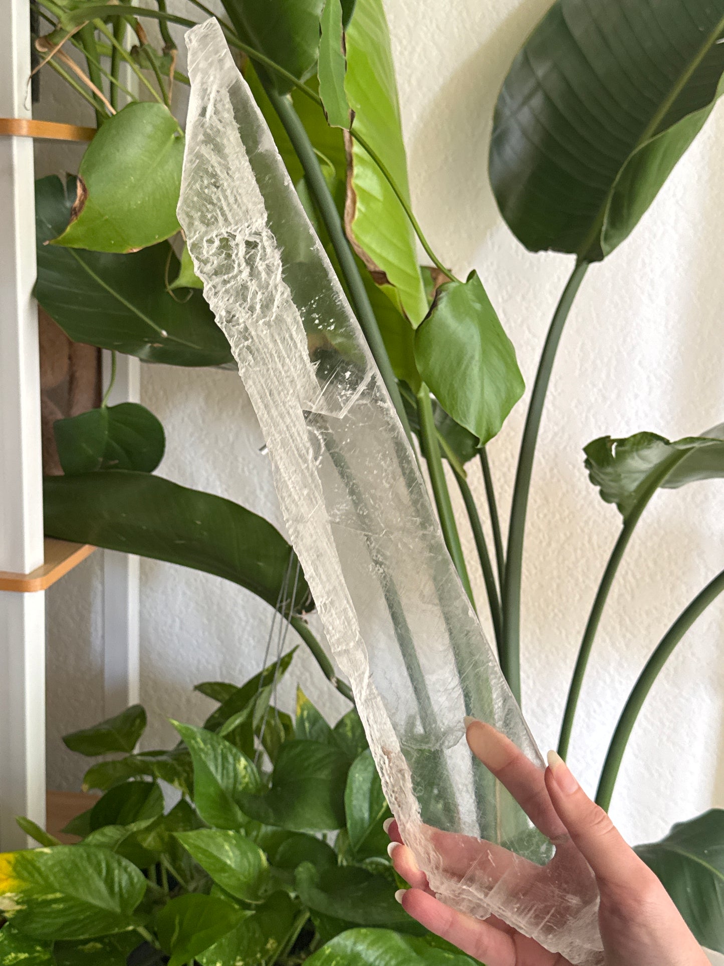 XL True Selenite “Ice Shard” B