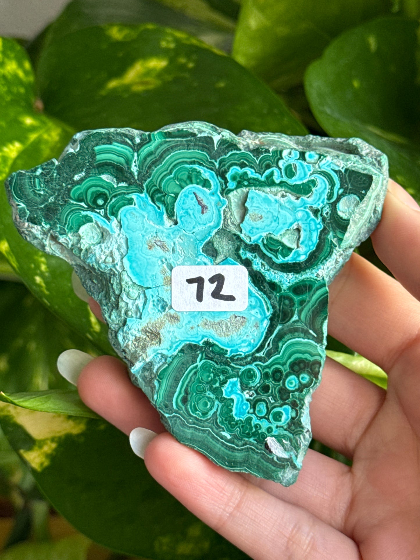 Malachite & Chrysocolla Slab A