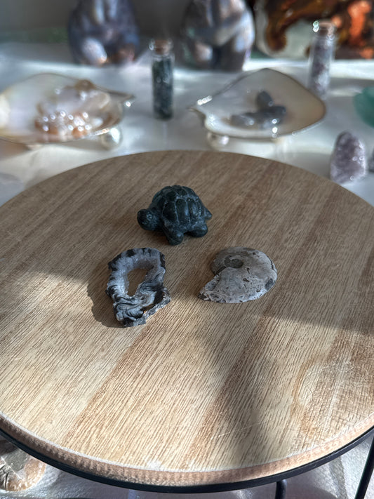 realbigorange listing