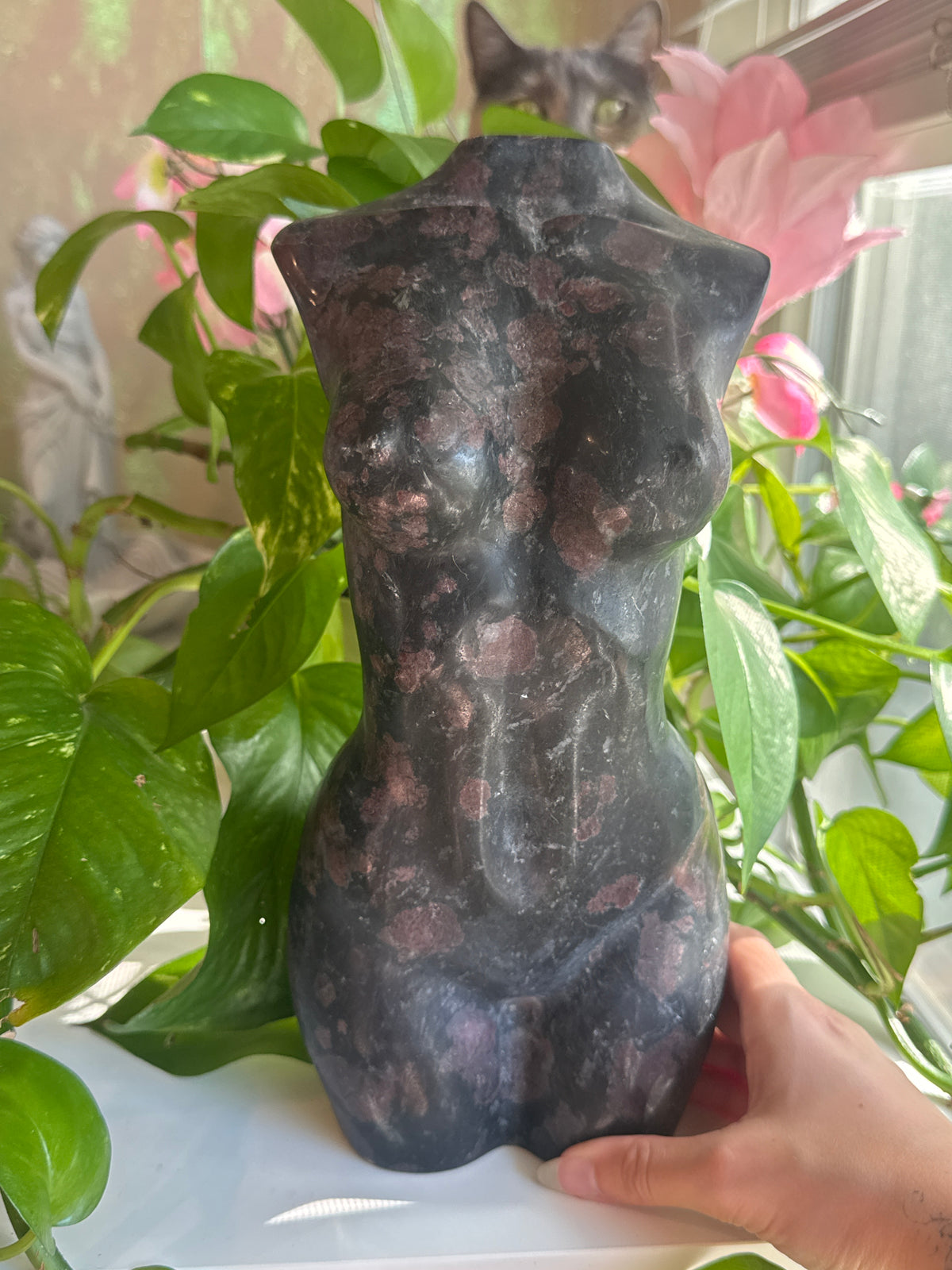 XL Statement Garnet in Black Tourmaline Goddess Body