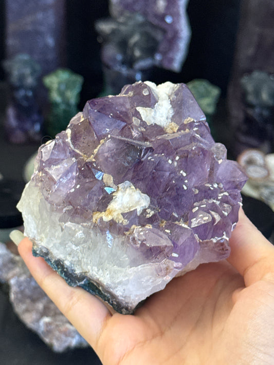 justhemomfriend listing