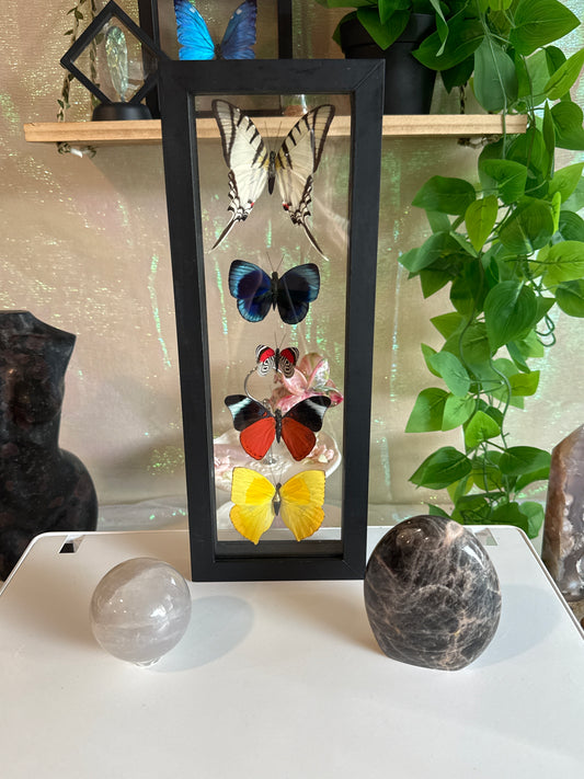 mommajay78 listing