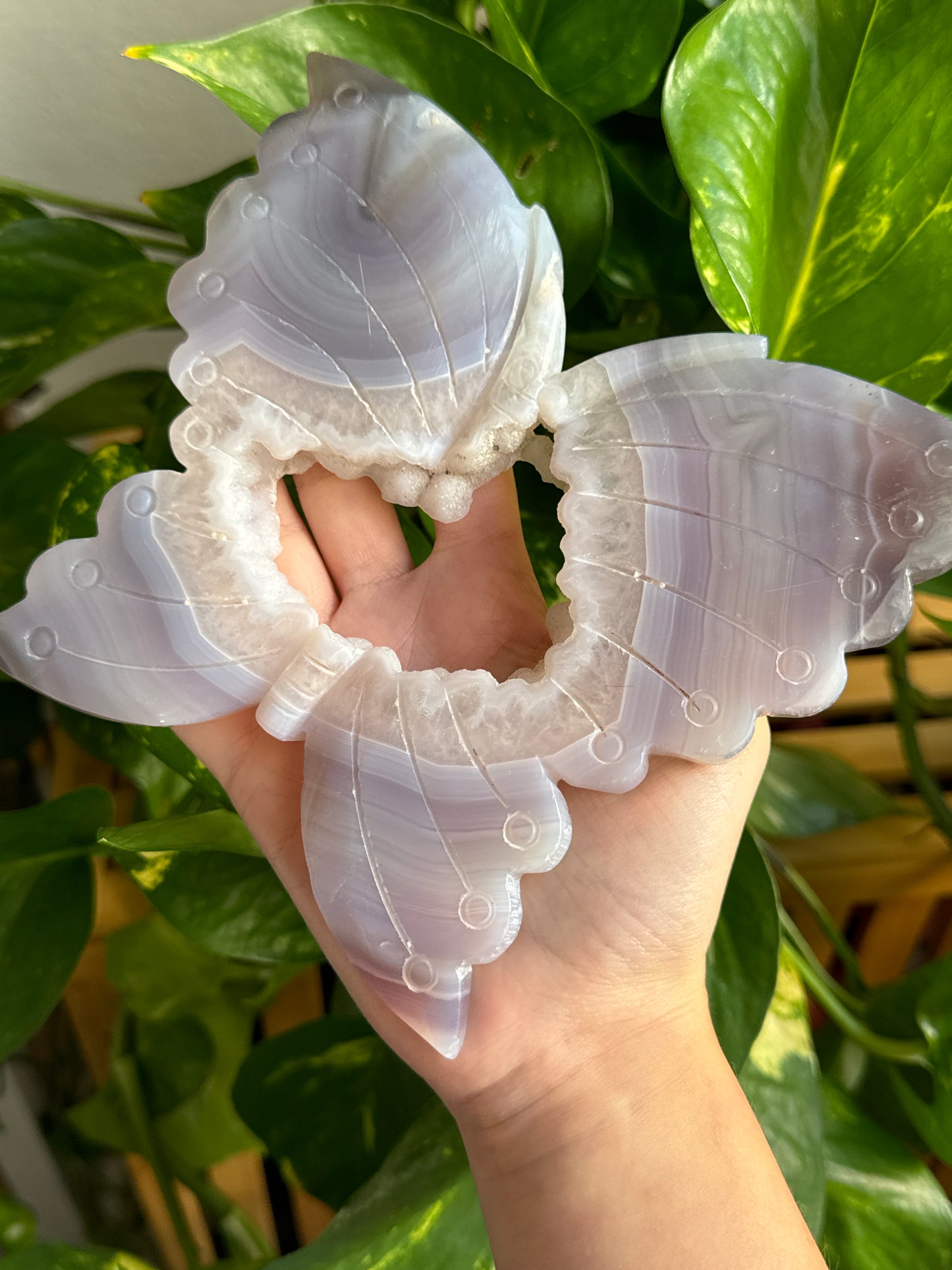 Large Purple Druzy Butterfly