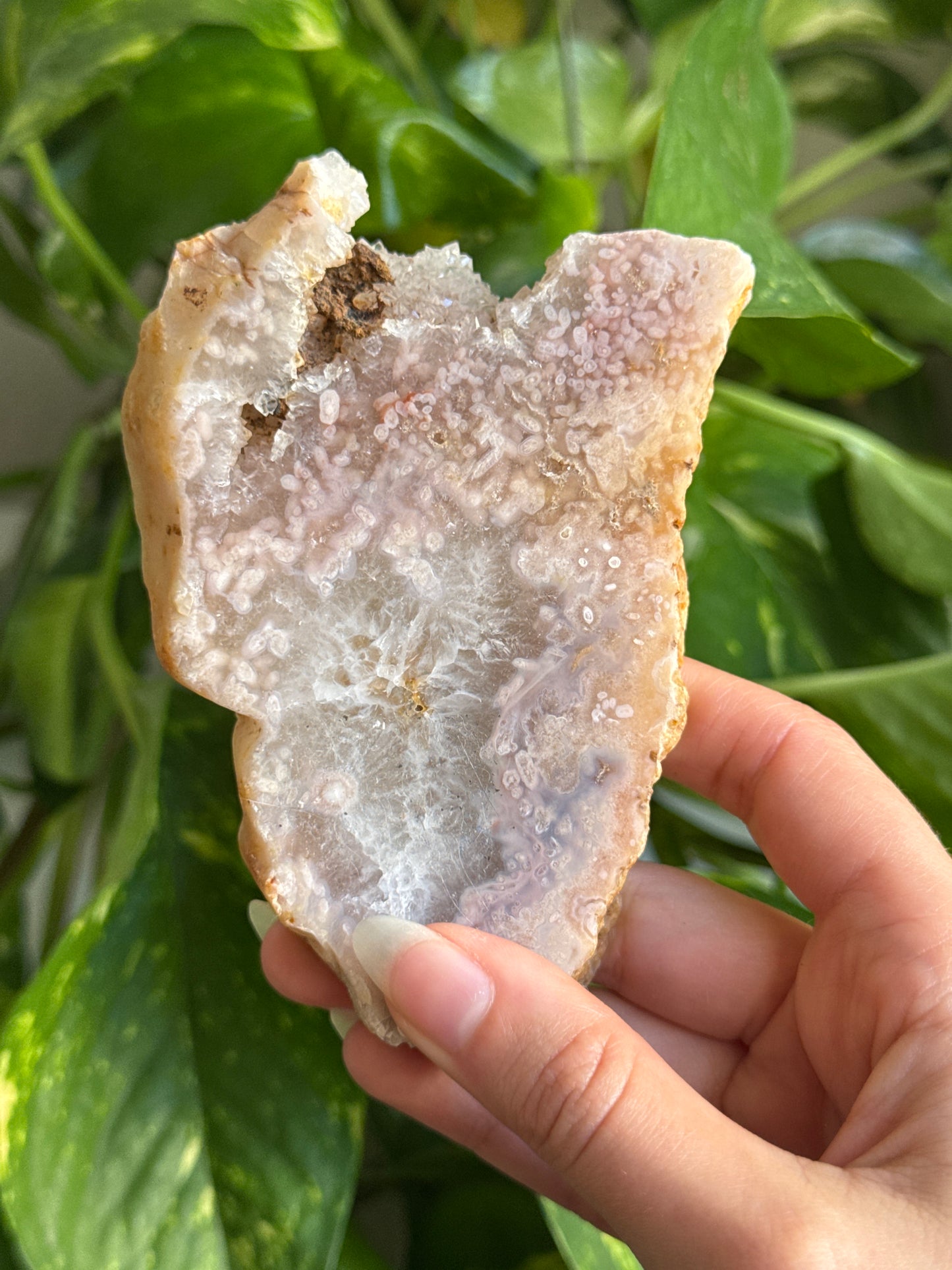 Druzy Flower Agate Slab