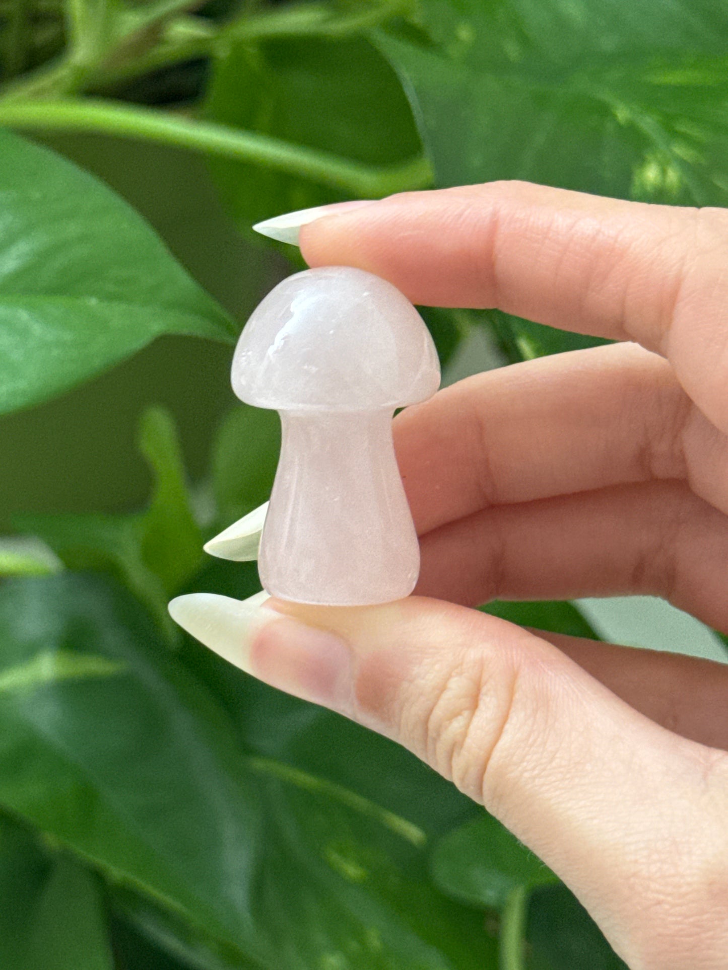 Rose Quartz Mushroom