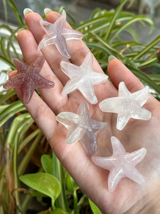 Starfish Carvings | You Pick Material