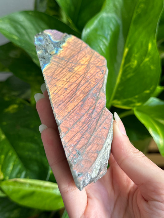 Labradorite Slab