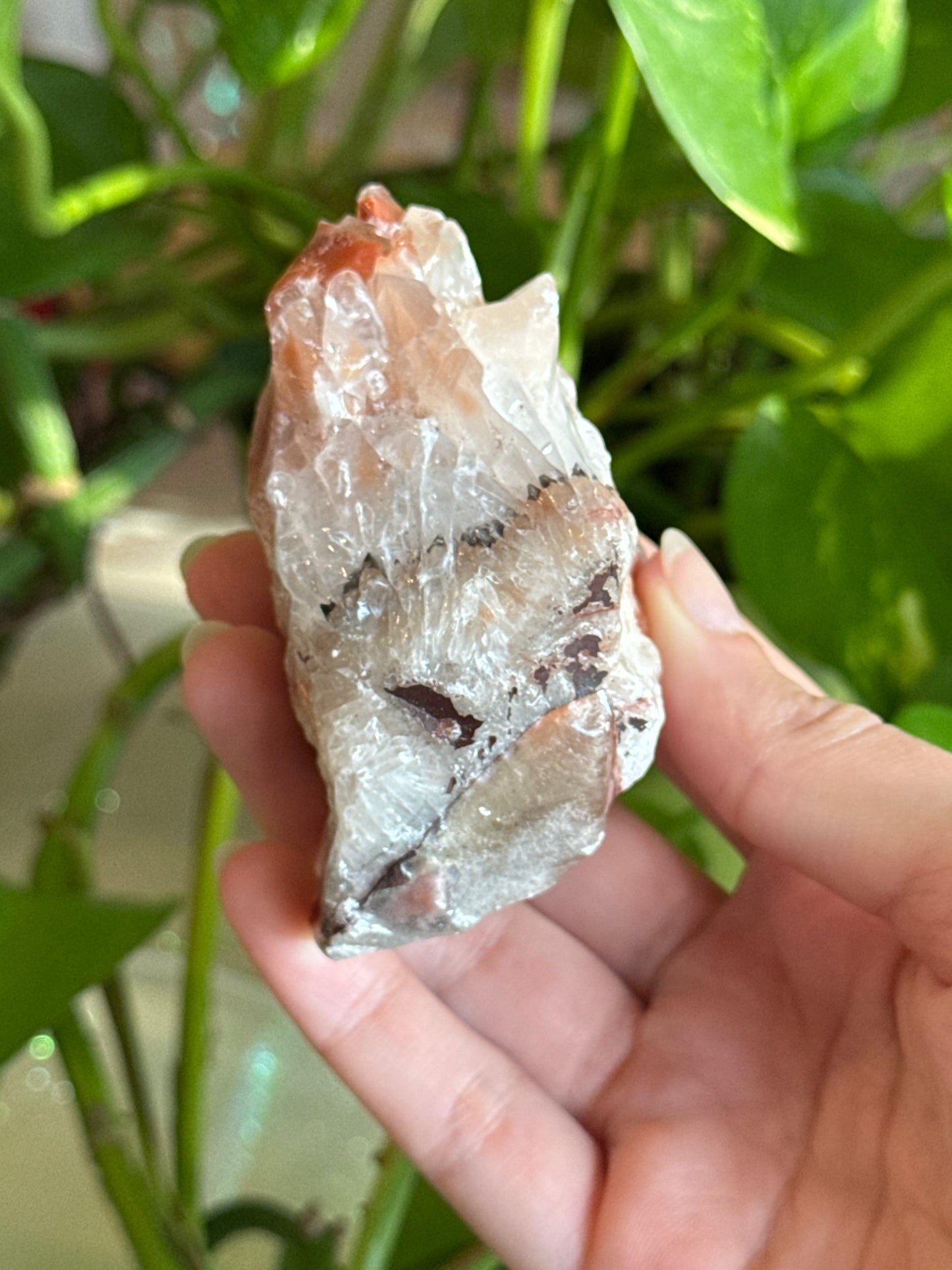 Tri Color Mexican Calcite Specimen