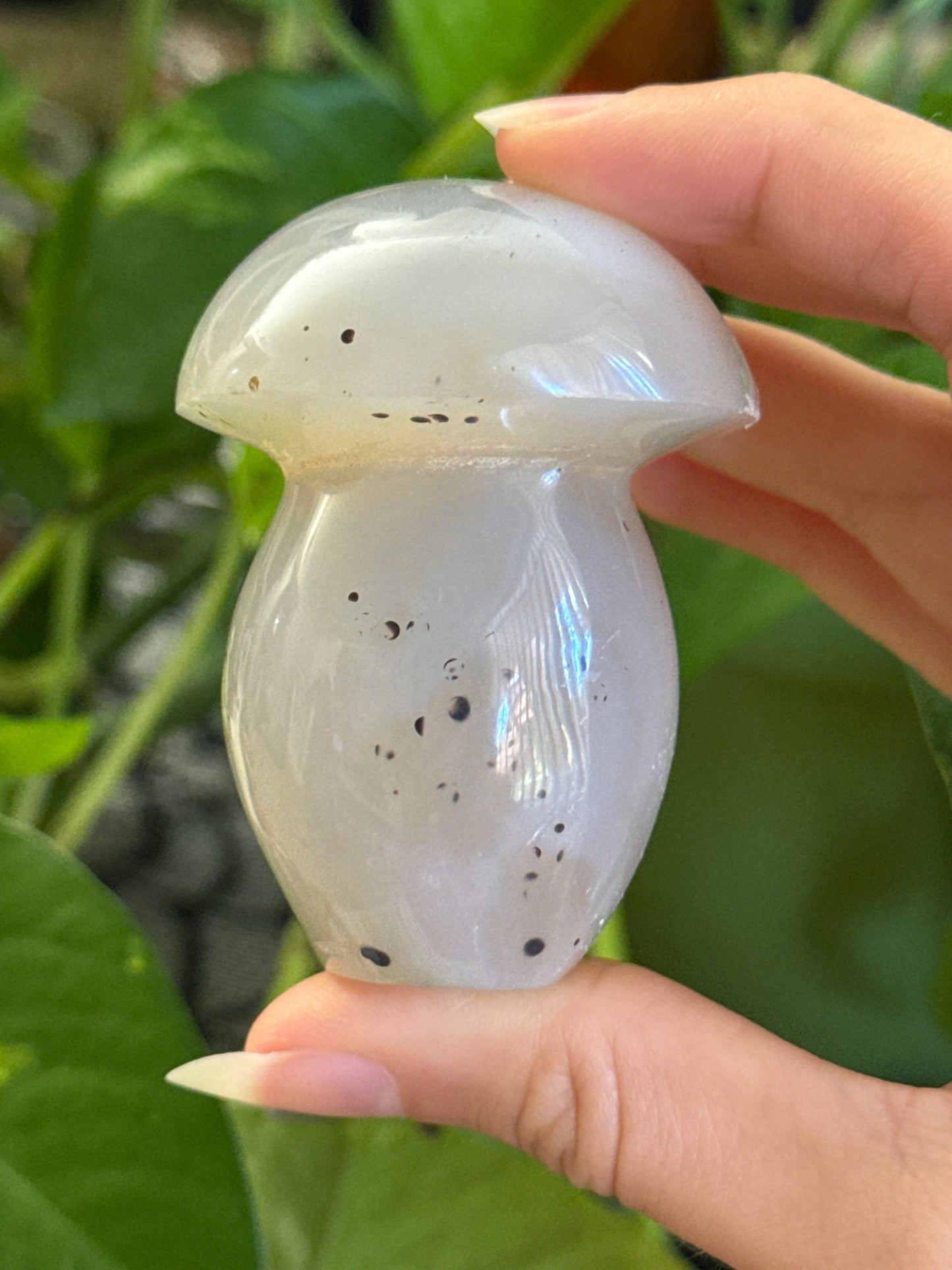 Dendritic Agate Mushroom