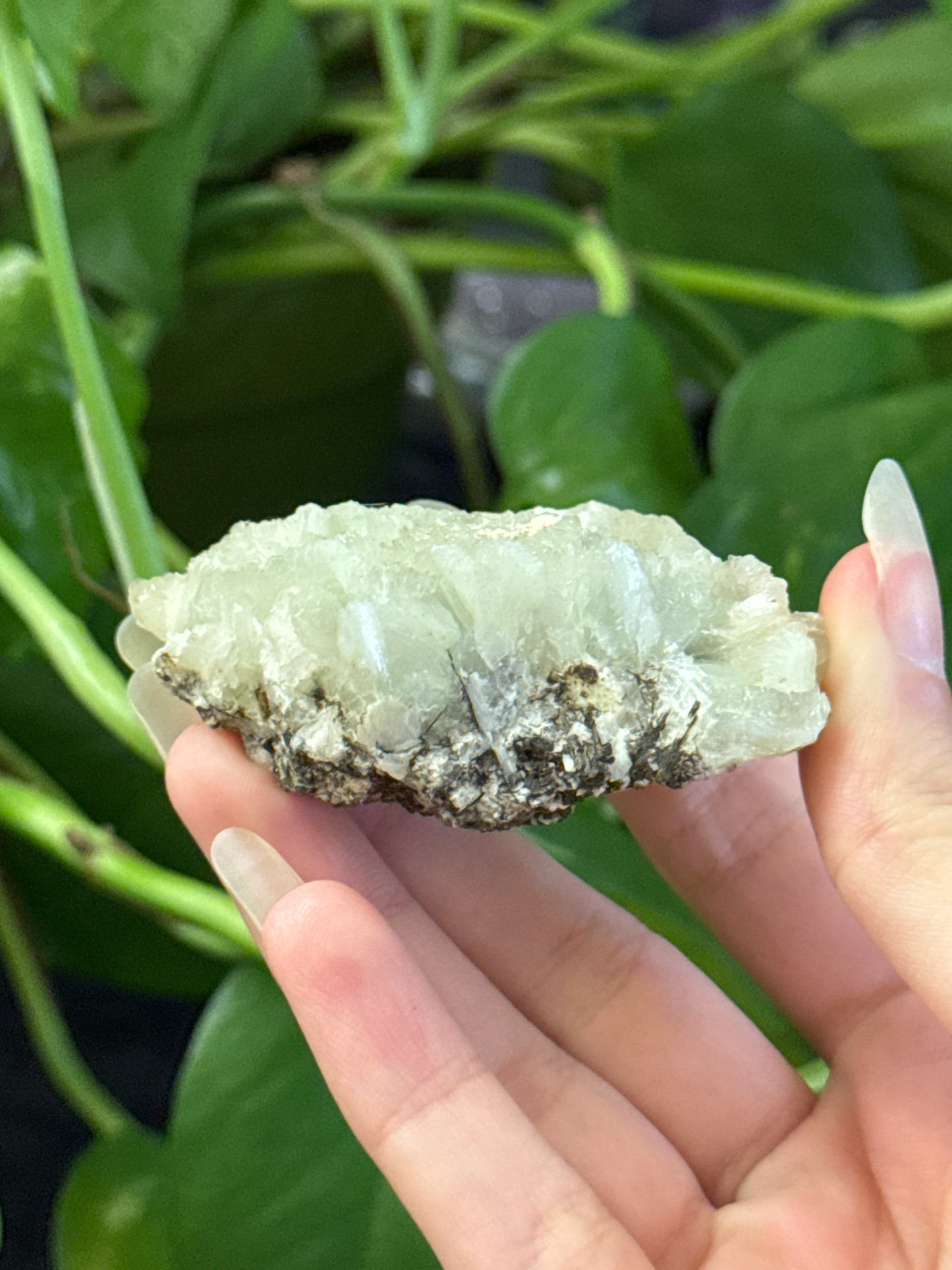 Crystallized Prehnite D