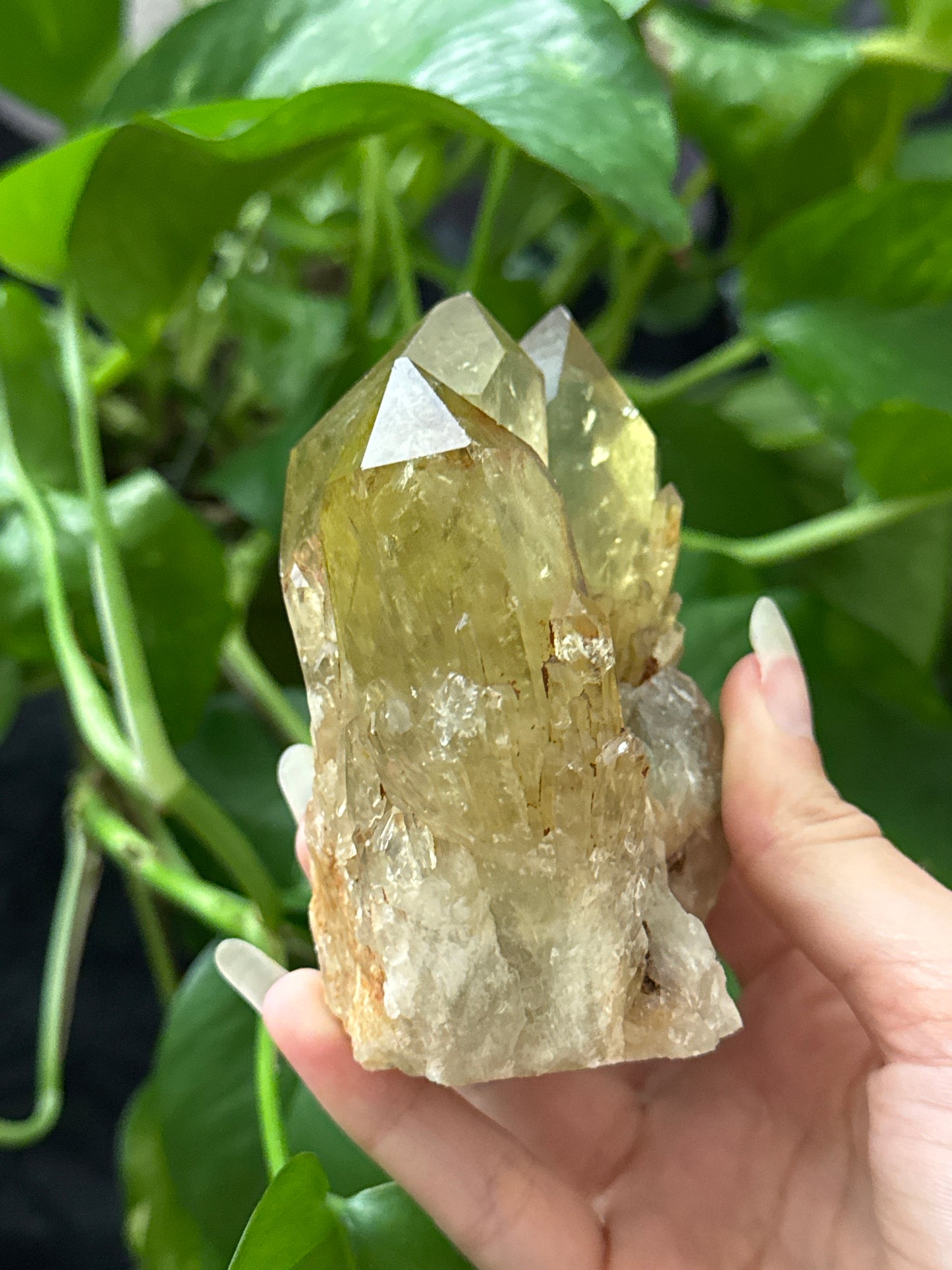 Natural Congo Citrine Specimen B