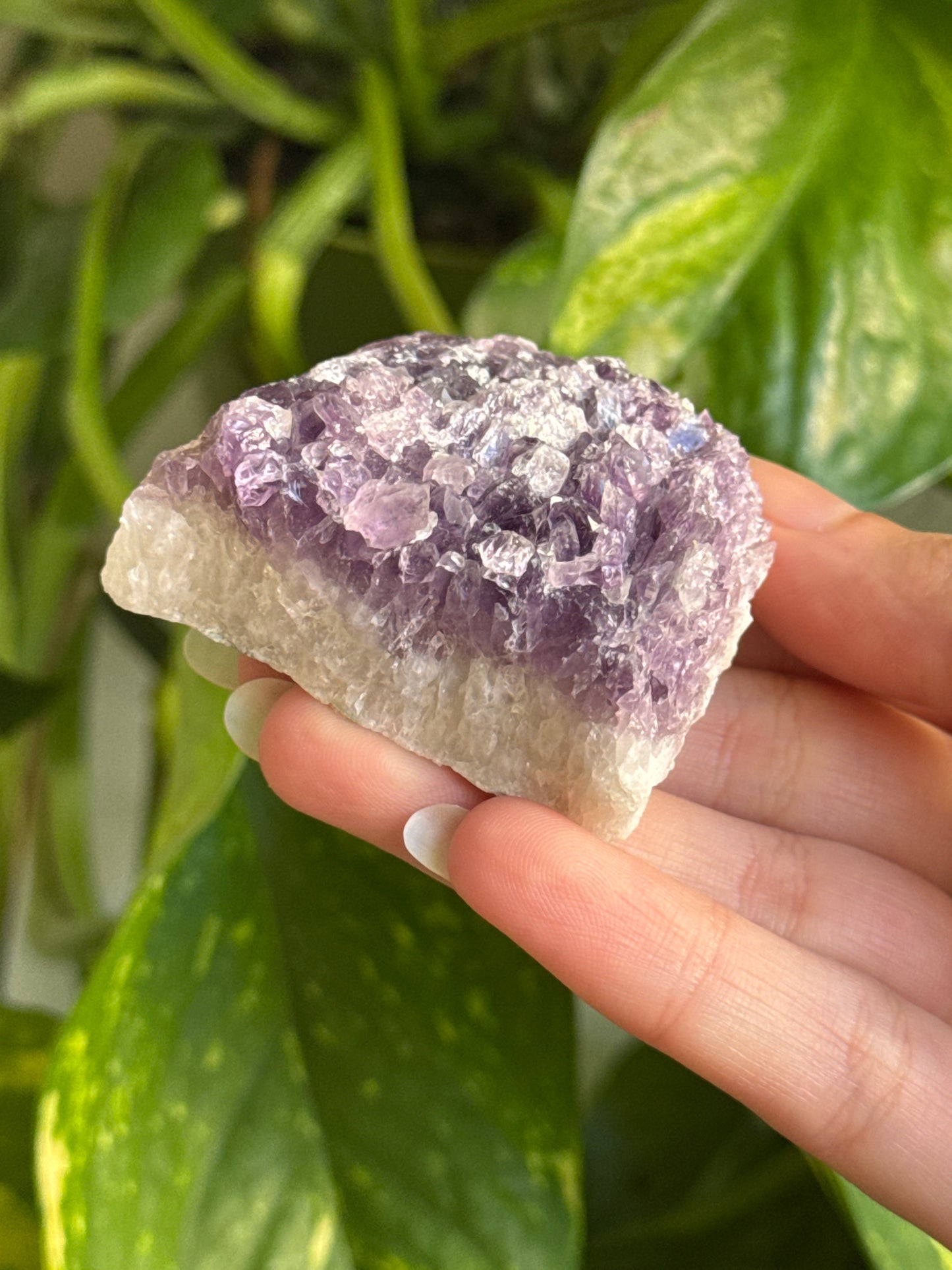 Amethyst Cluster B