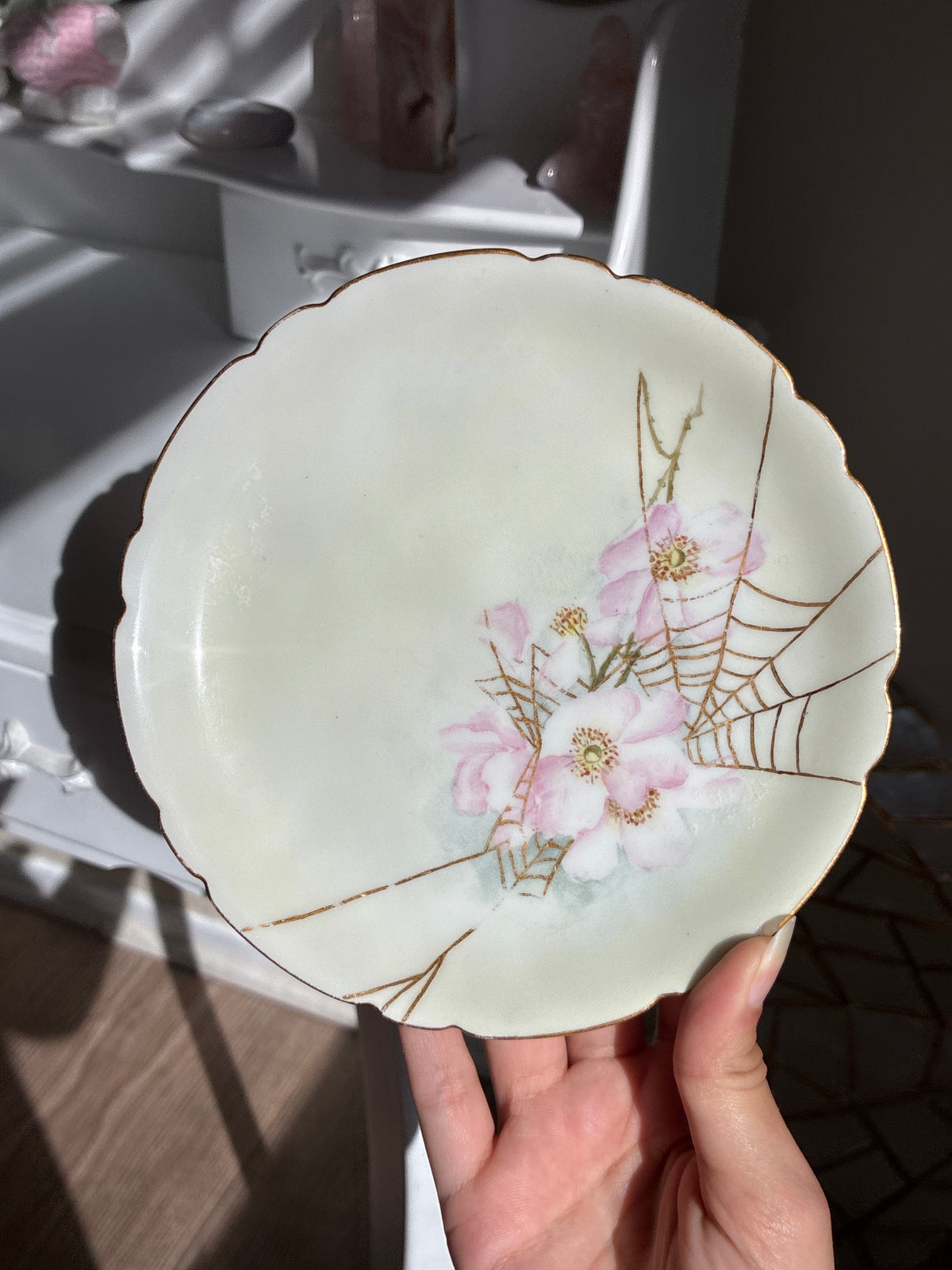 Pink Flower with Spider Web Plate