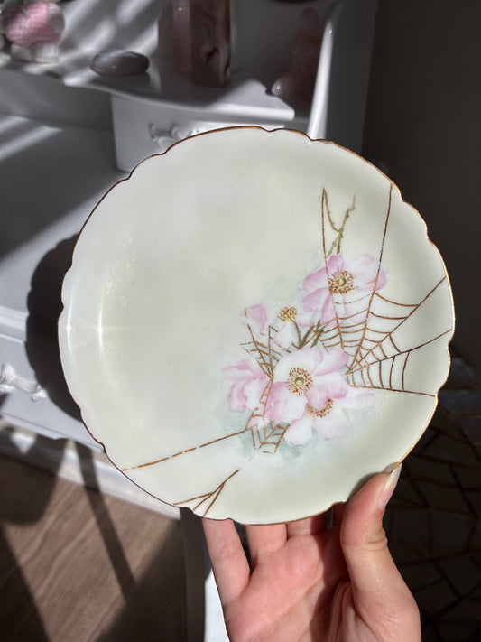 Pink Flower with Spider Web Plate