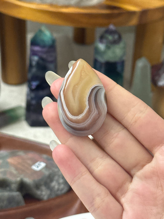 meloncholicdaydreams listing