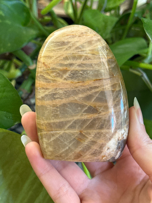 Flashy Peach Moonstone Freeform C *see vid for flash*