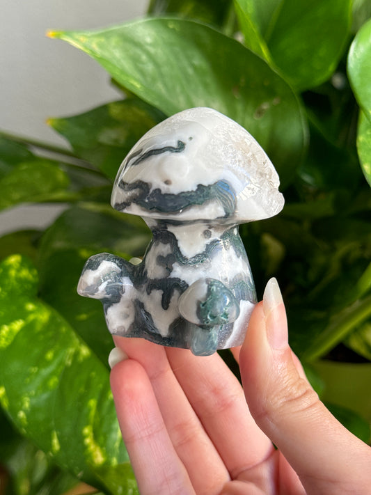 Druzy Moss Agate Mushroom