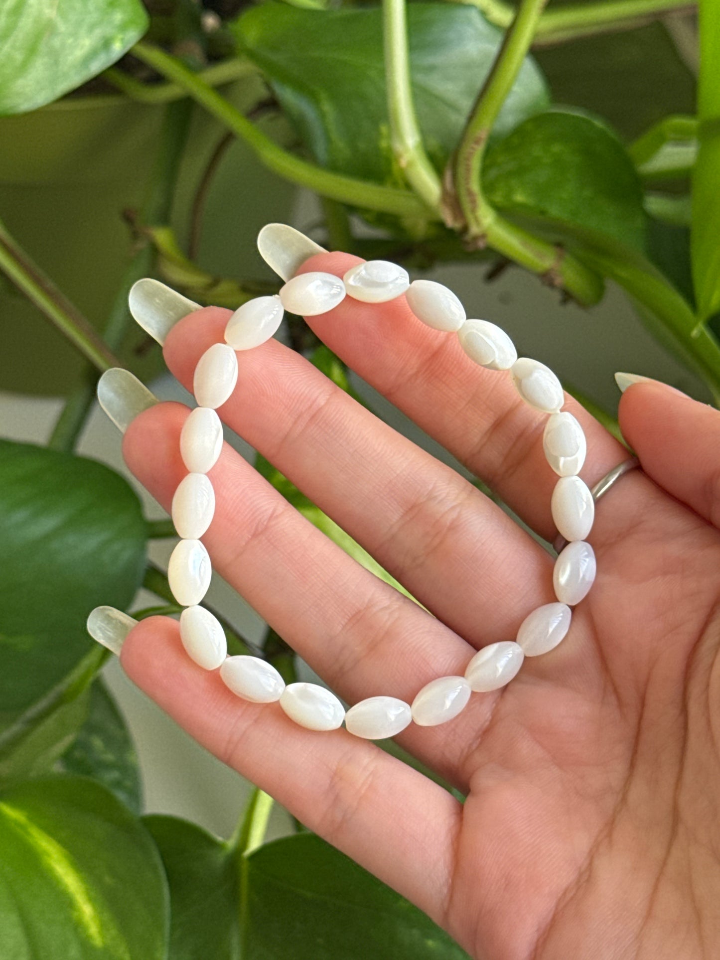 White Shell Bracelet