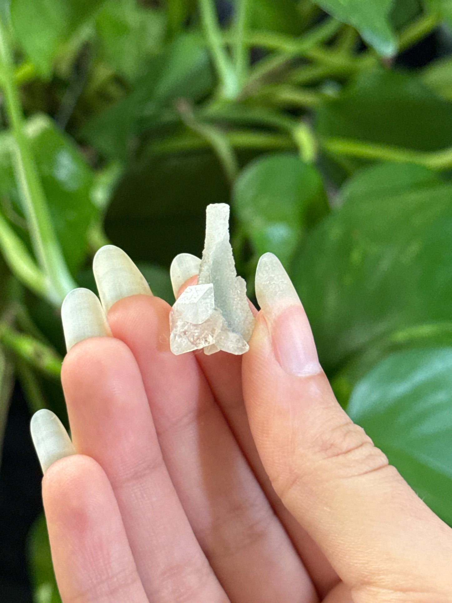 Mini Apophylite on Stilbite Specimen