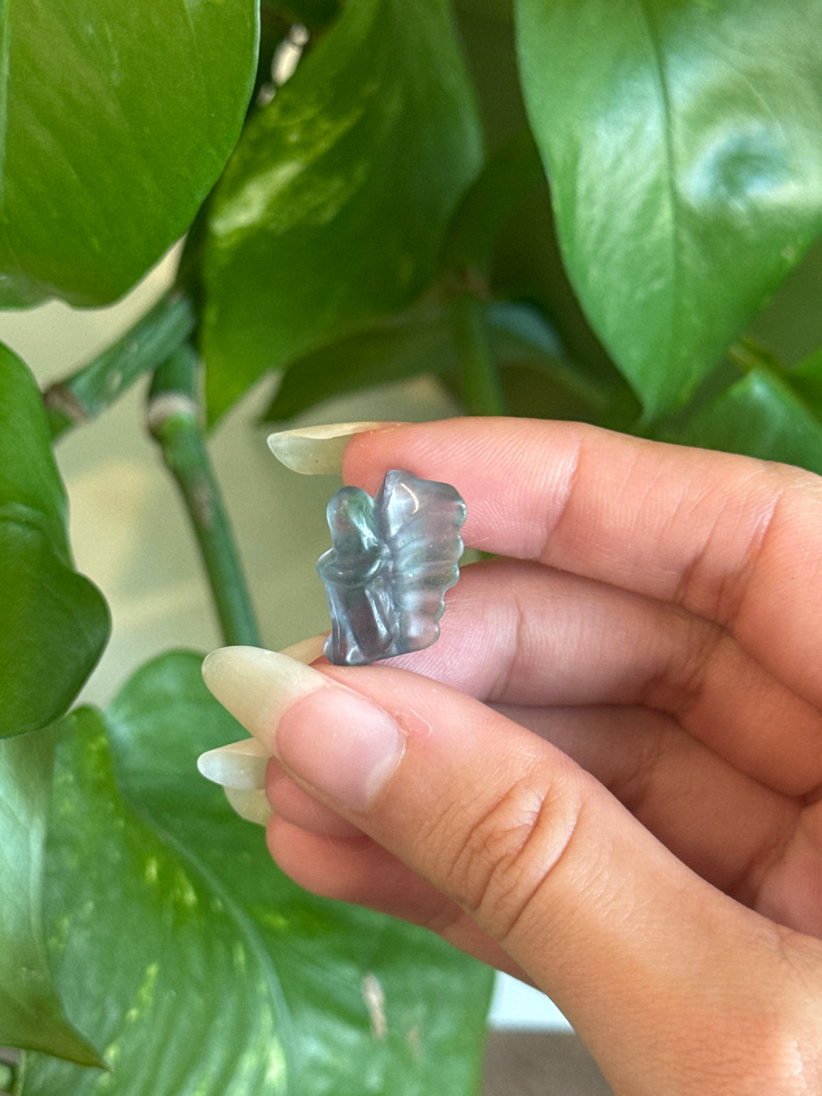Fluorite Fairy