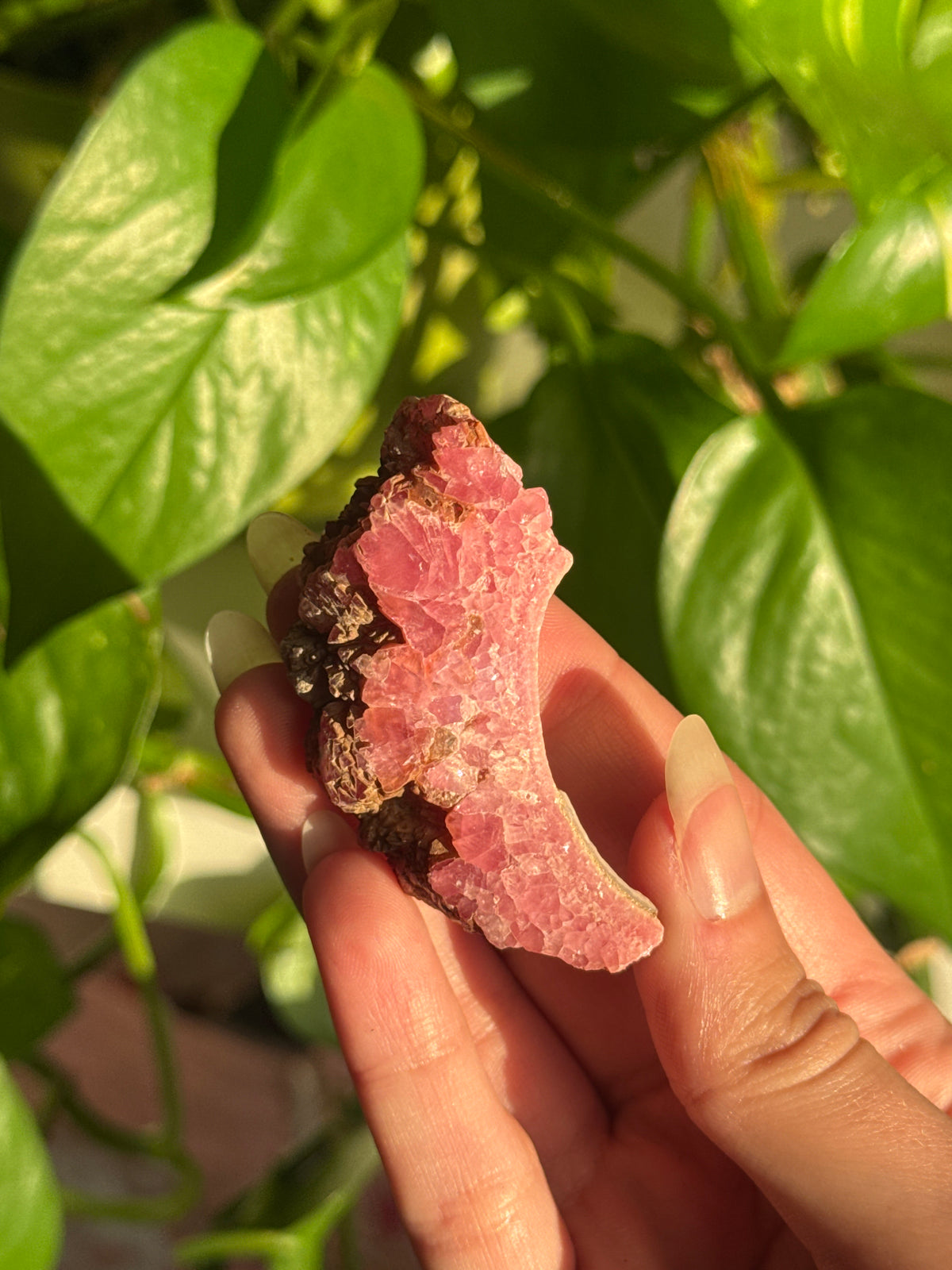 Rhodochrosite Moon Shaped Specimen
