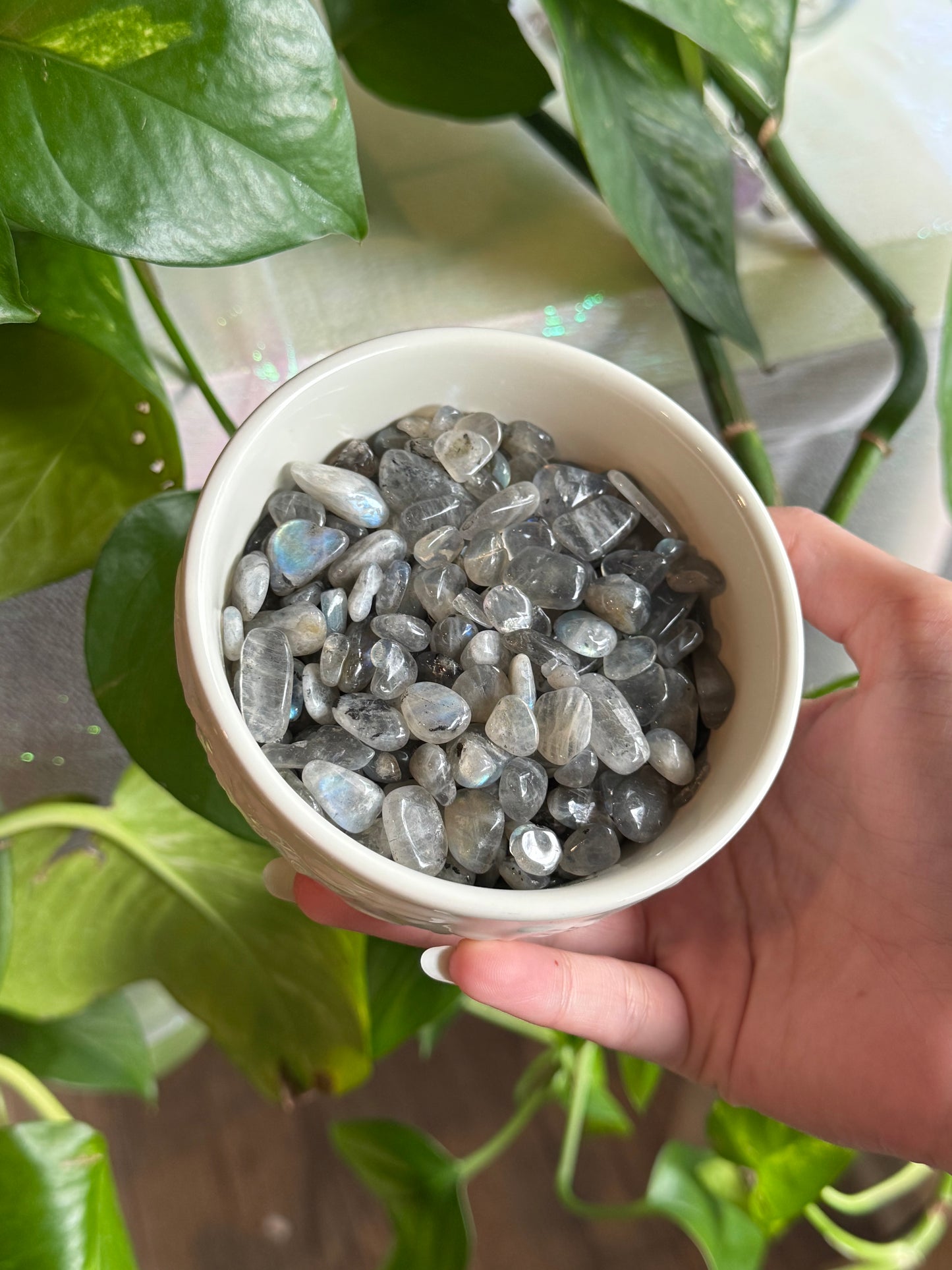 Labradorite Chips