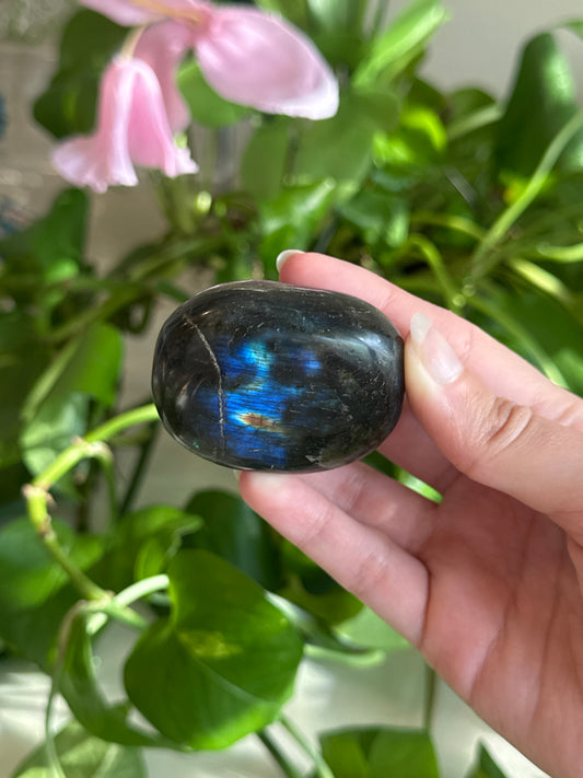 Labradorite Chubby Palm Stone C