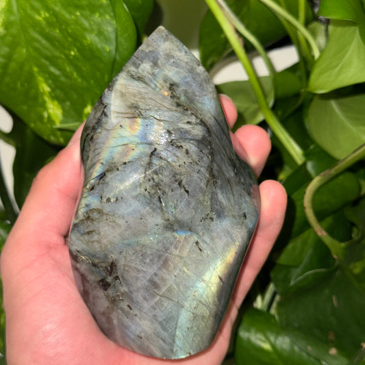 Flashy Rainbow Lab Flame