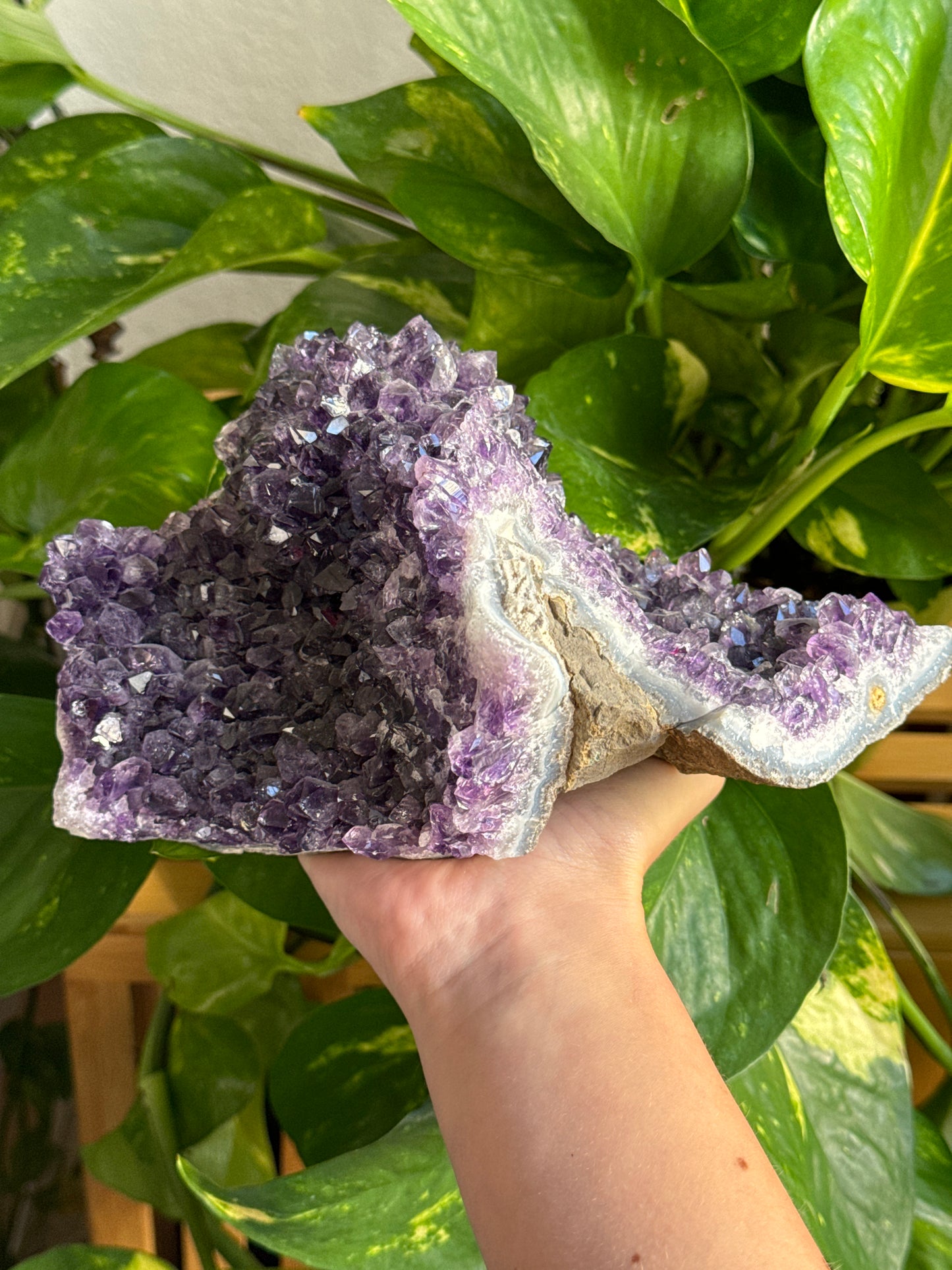 Large Amethyst Cluster