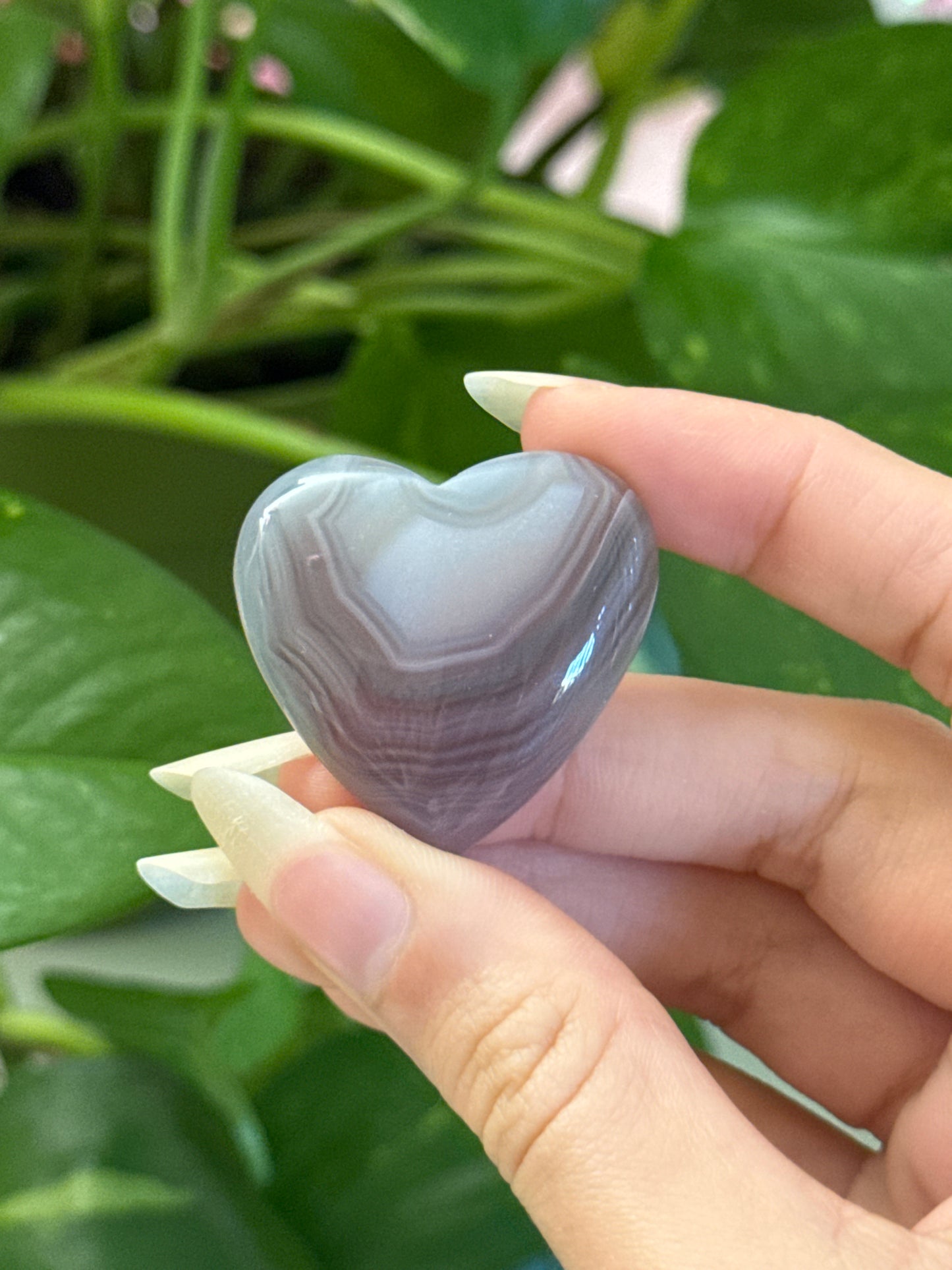 Botswana Agate Heart