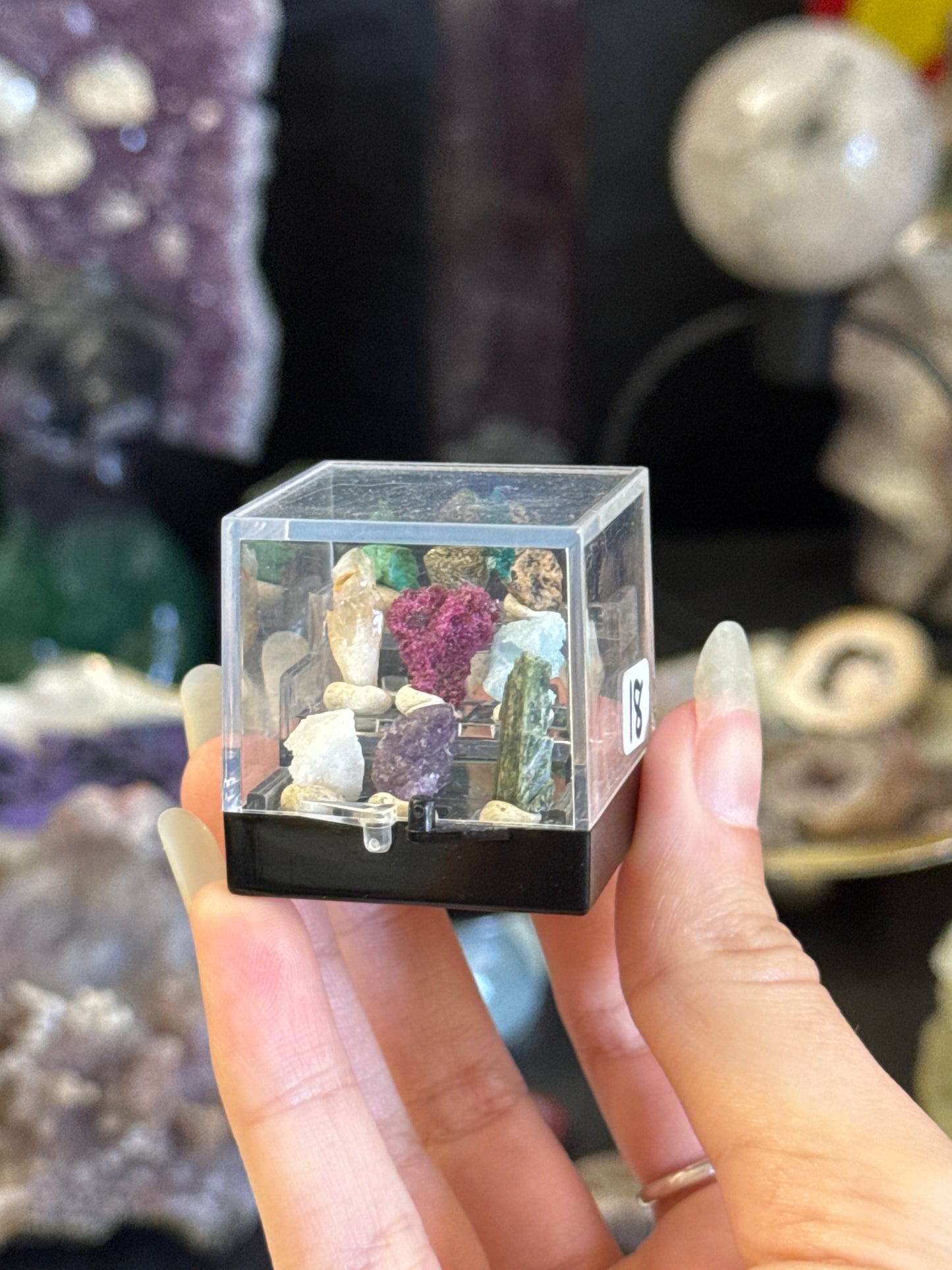 am.erica.n_idiot listing