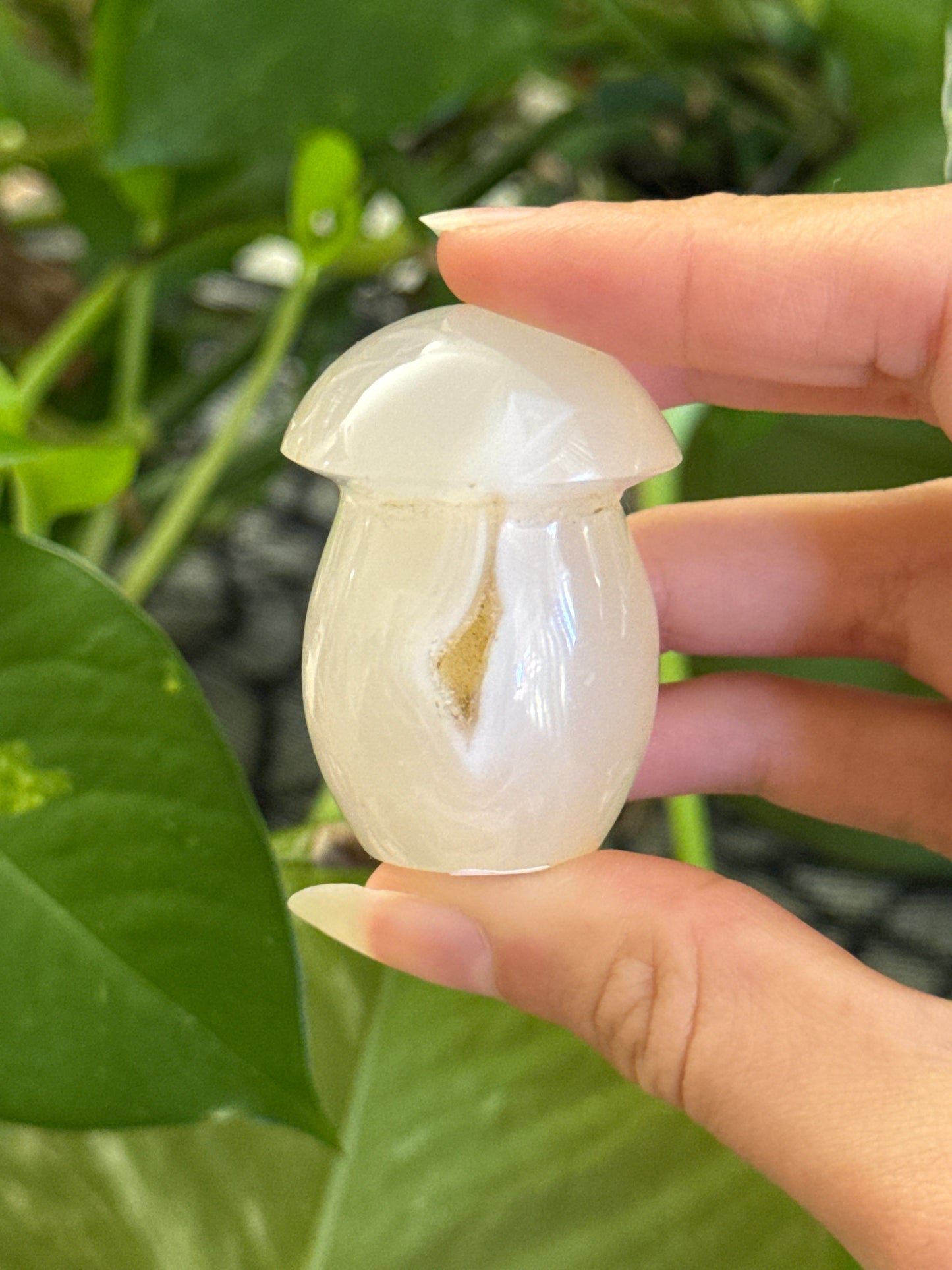 Druzy Agate Mushroom C