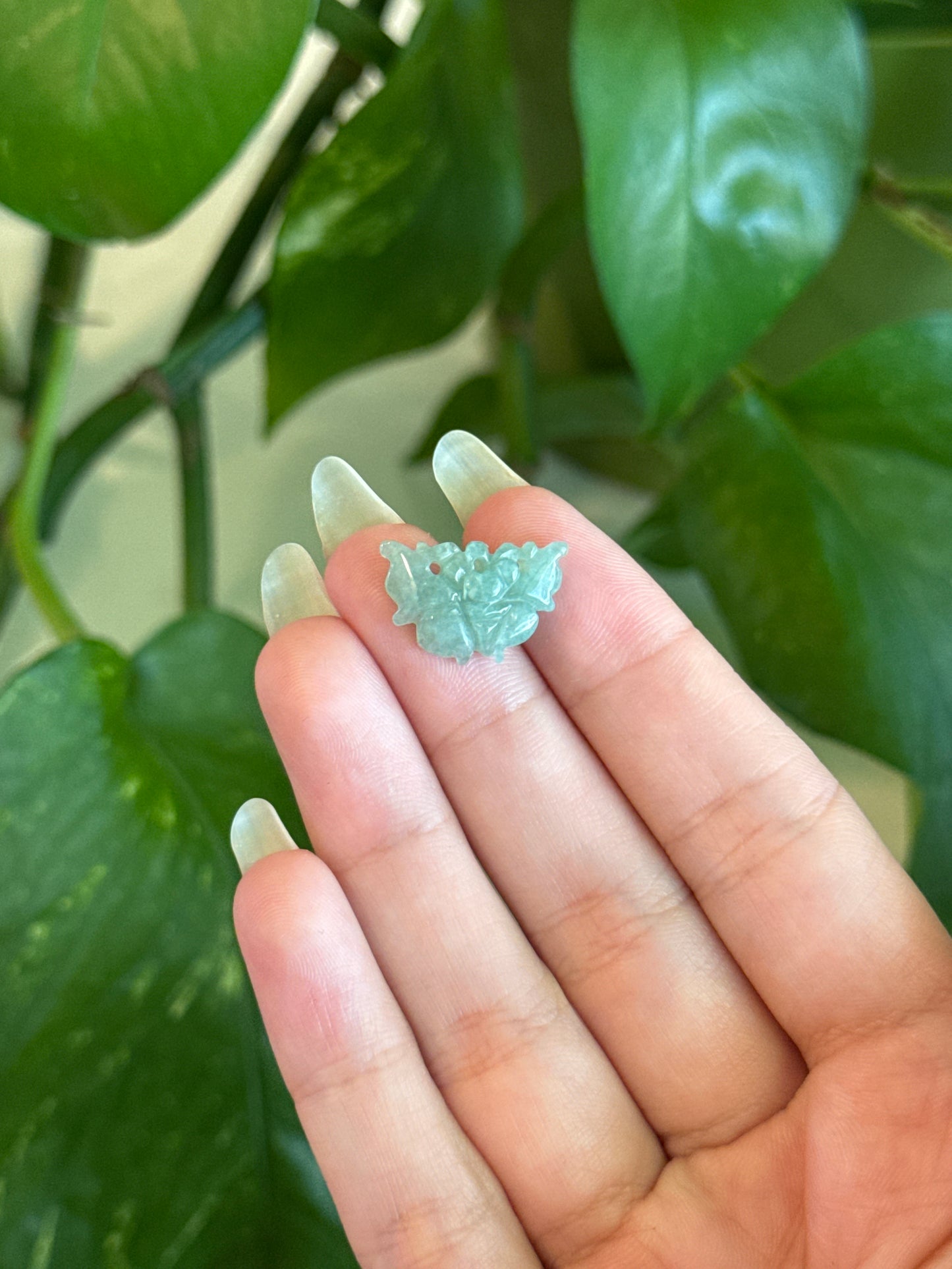 Jade Butterfly